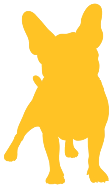 The Dylan Agency